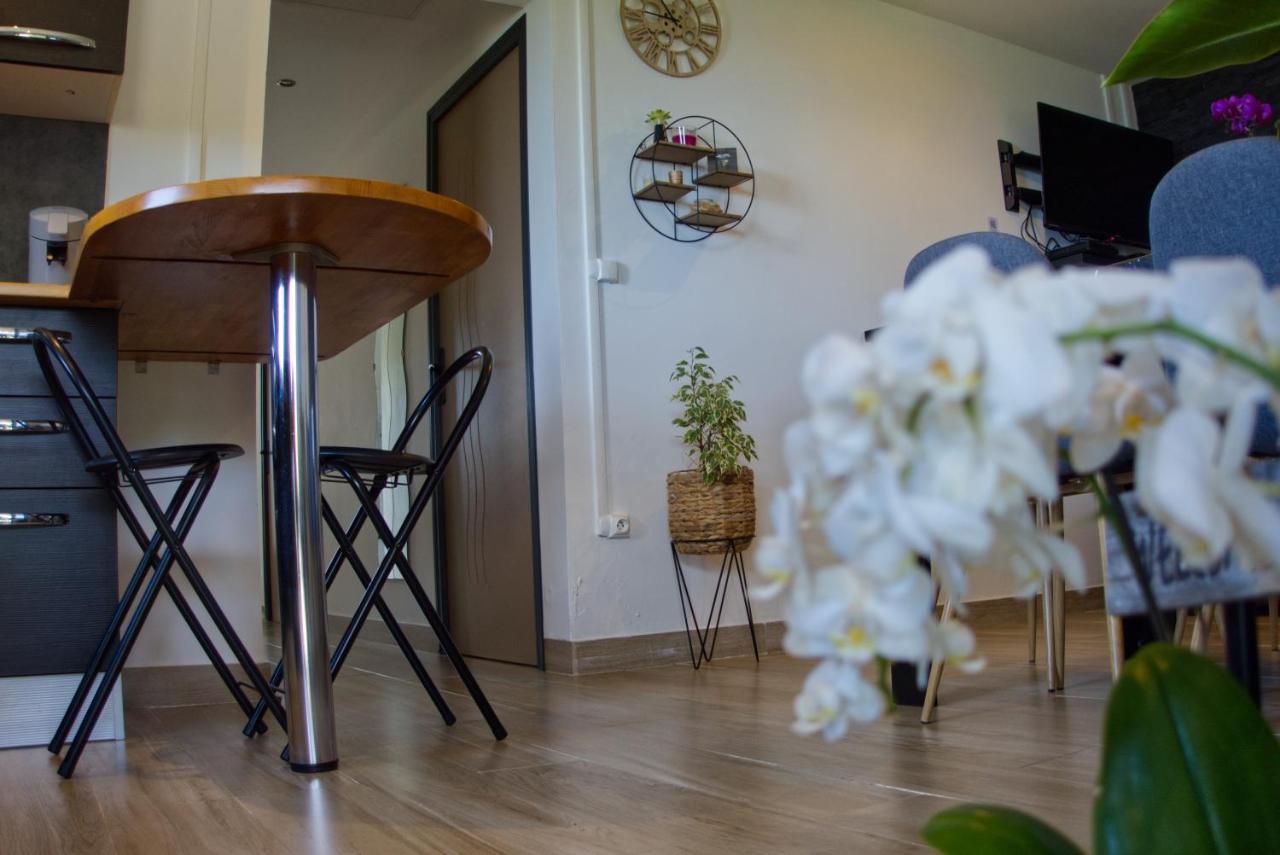 Ka Hema - Maison Entiere Avec Jacuzzi Et Vue Sur Mer แซ็ง-โฌเซฟ ภายนอก รูปภาพ