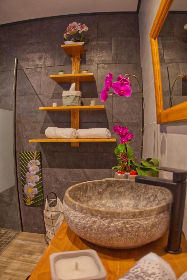 Ka Hema - Maison Entiere Avec Jacuzzi Et Vue Sur Mer แซ็ง-โฌเซฟ ภายนอก รูปภาพ